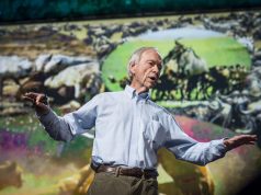 What are the Effects From a Vegetarian Diet on the Environment?