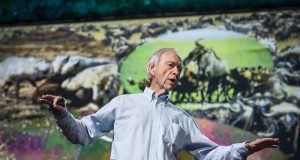 What are the Effects From a Vegetarian Diet on the Environment?